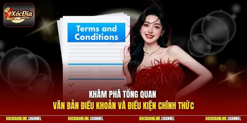 Khám phá tổng quan văn bản điều khoản và điều kiện chính thức